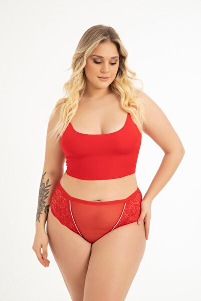 Cottonhill Transparan Tüllü Dantel Detaylı Büyük Beden Kadın Bikini Külot 3'lü Paket