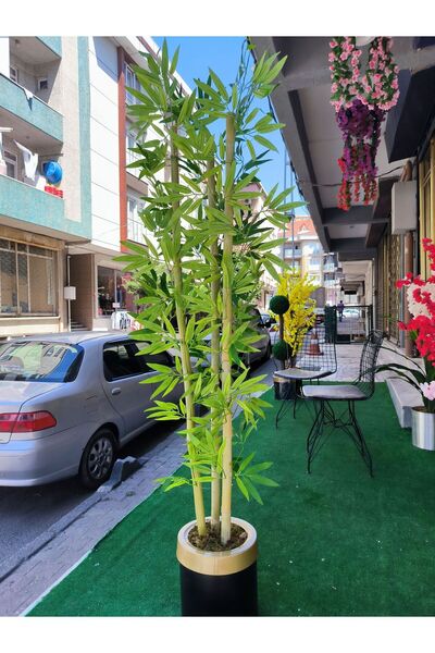 RUZGARCİCEK Rüzgar Yapay Çiçekçilik 160 cm Siyah Gold Saksıda Bambu Ağacı