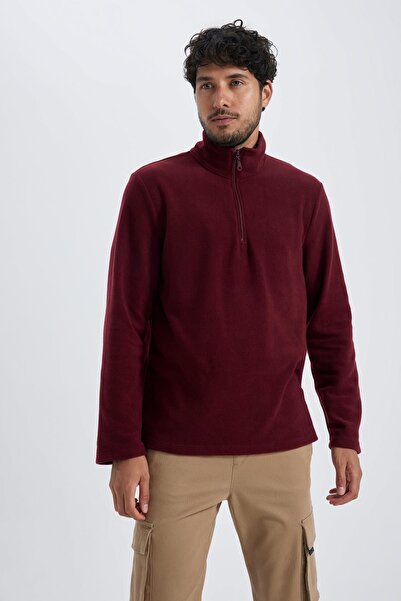 DeFacto Regular Fit Dik Yaka Fermuarlı Polar Sweatshirt Y3996az23au