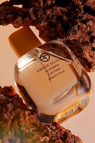 L'ACTONE Amber-Oryantal Esintili Unisex Parfüm EDP 100 ml
