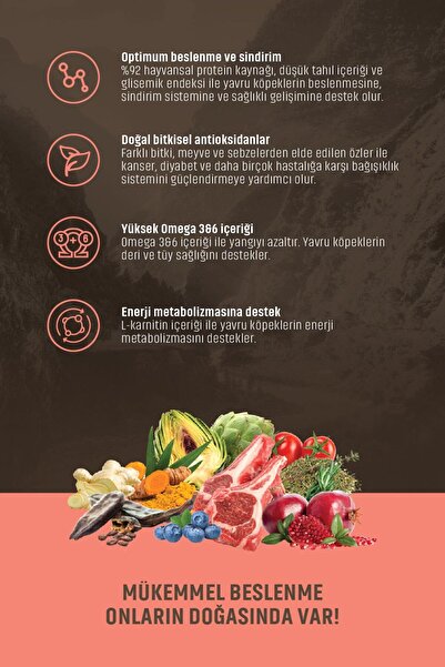 Spectrum Low Grain Küçük Irk Yavru Köpek Maması Kuzulu& Yabanmersinli 2,5 Kg