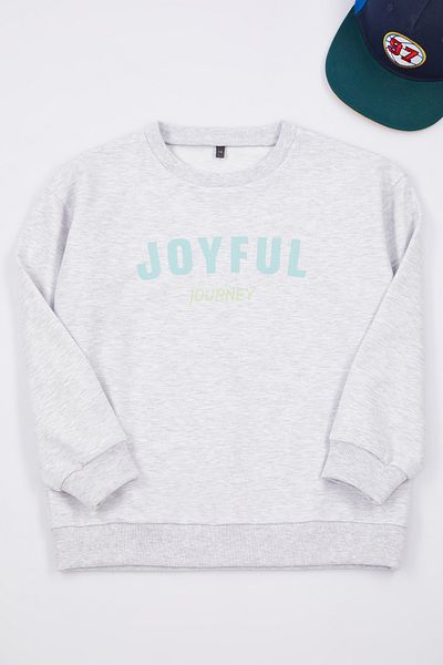 TRENDYOLKIDS Boy's Crew Neck Slogan Printed Knitted Sweatshirt - Gray Melange Tkdaw25sw00031