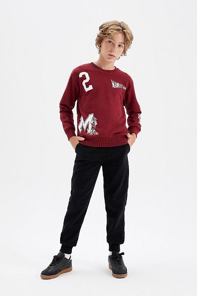 DeFacto Boys' 2-Piece Set Crew Neck Printed Sweatshirt with Elastic Waist Jogger Sweatpants