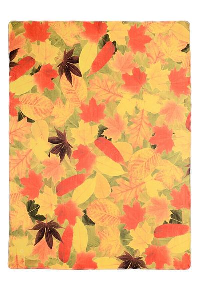 AİRYCOT Digital Printed Fleece TV Blanket Autumn