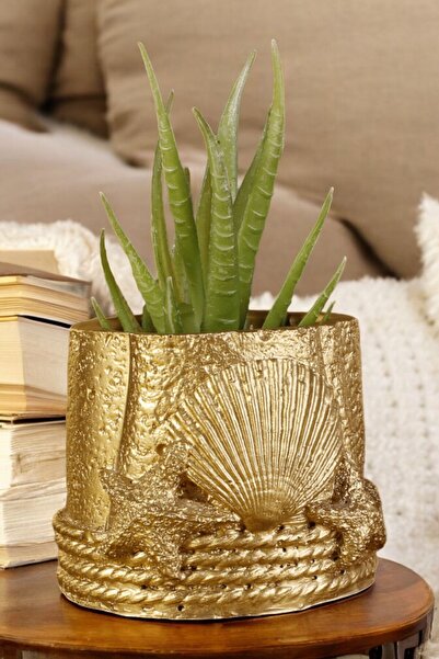 Stein Kohle Dekoratif Saksı Minik Kaktüs Saksısı Altın Renk 1 Adet Model 5