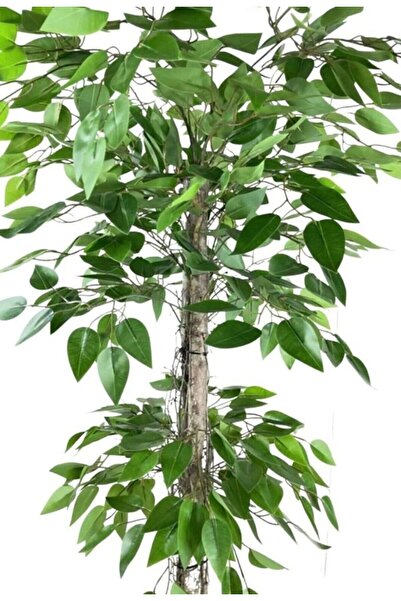 RUZGARCİCEK Rüzgar Yapay Çiçekçilik 110 cm Benjamin Ağacı