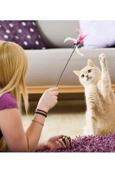 OKAVANGO 1 Piece CaT Toy - CaT Toys, CaT ScraTching, CaT Fishing Rod Toy