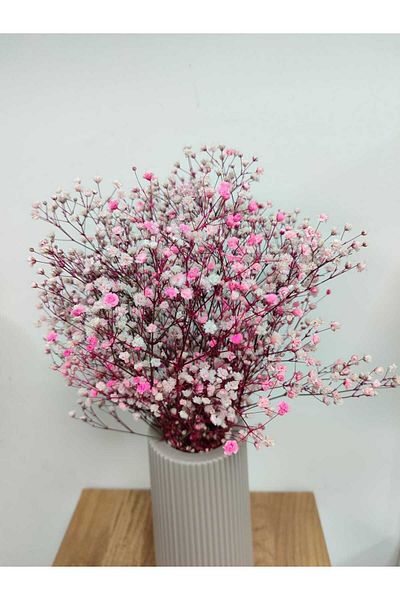 shocket plant Εκπληκτικά Χρώματα Cipso 1ης Κατηγορίας 40-50 gr – Διακόσμηση τεχνητών λουλουδιών, Στολίδι τραπεζιού, Φόντο