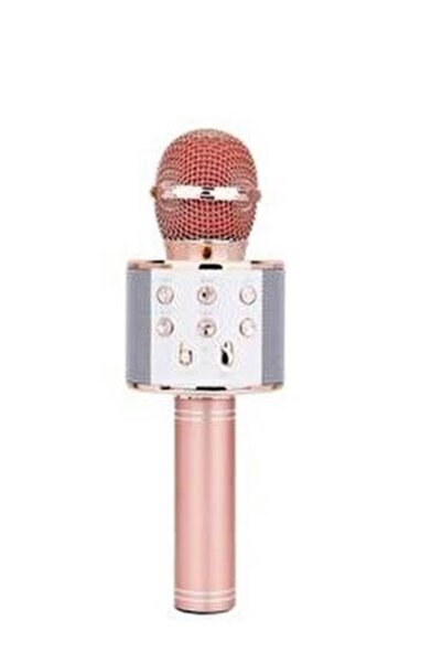 Subzero Karaoke Mifrofon