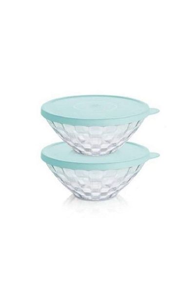 Tupperware Diamond Serving 2-Piece 500 Ml Storage Container Hsgl