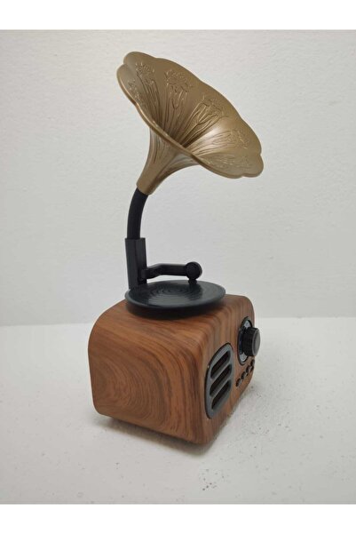 Proton Nostaljik Mini Bluetooth Radyo Gramafon Speaker