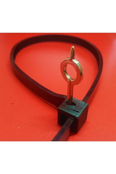 ATS Global Keyed Plastic Safety Clamp 9 X 500 Mm 50 Pieces Clamp 50 Pieces Key