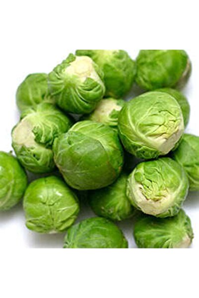 Tohum Dünyası 100 Adet Brüksel Lahanası Tohumu- Geleneksel