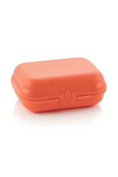 Tupperware Oyster Small Size Mini Storage Container Hsgl