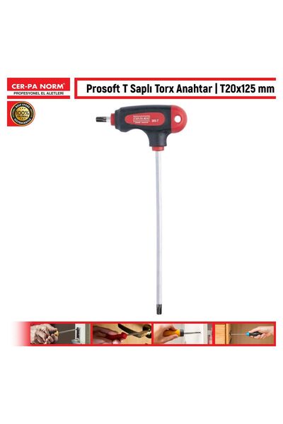 CER-PA NORM مفتاح توركس بمقبض على شكل حرف T من بروسوفت - 125 مم × 20 مم