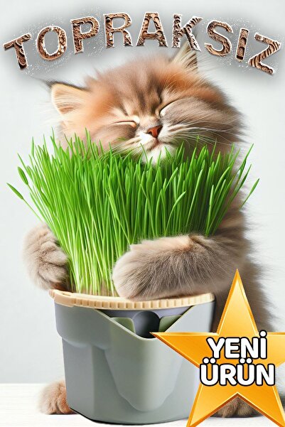 Genel Markalar Topraksız Doğal Kedi Çimi Suda Fileli Yetiştirme Saksısı Tüy Yumağı Önleyici Hidroponik Saksı Kiti