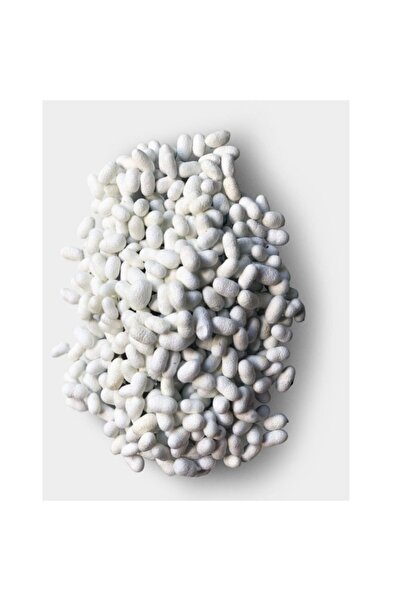 ŞİFAGIDA Ham ipek kozası 100ad