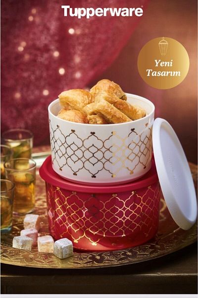 Tupperware Single Finger Cookie Box 2 Pieces