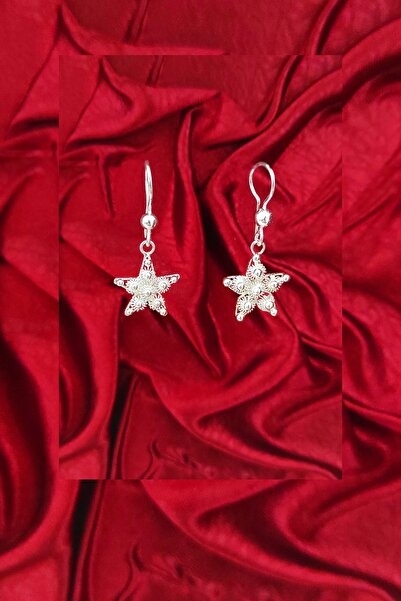 Aykat Yıldız Küpe Telkari El Işi Gümüş Sallantılı Kadın Küpesi 925 Ayar Kupe-188