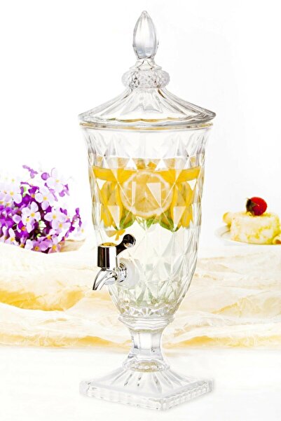 ZEYHOME 2 Lt Cam Sebil