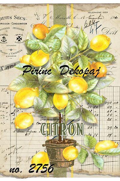 LİNEART Rice Decopage Paper No:2756