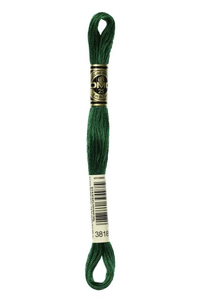Dmc Muline Yarn 3818