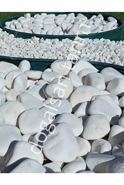 Doğalsan Tarım Beyaz Dolomit Taş 4 Kg 6-10 Cm Dere Taşı Çakıl Taşı Saksı Taşı...