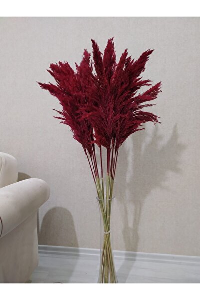 partidekor Fuşya Pampas (dolgun Kafa) 10 Lu 100 cm