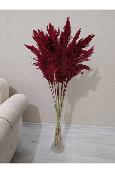 partidekor Fuşya Pampas (dolgun Kafa) 10 Lu 100 cm