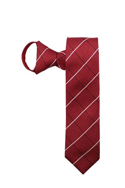 PROKRAVAT Checked Zippered Tie