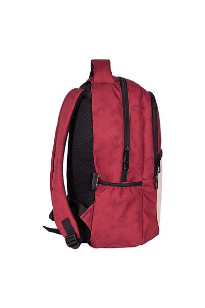 Harry Potter School Bag - Model 2586