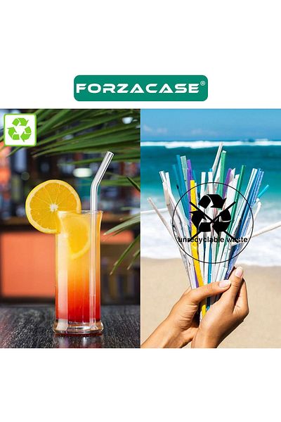 Forzacase Heat Resistant Environmentally Friendly Washable 3-Piece Glass Straw and Cleaning Rod - FC520