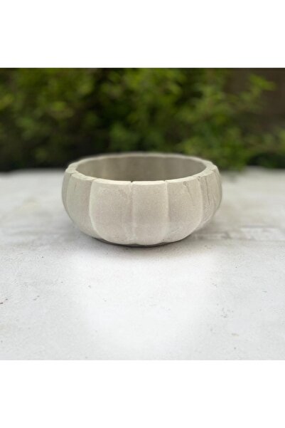 tohumtopraksaksı 12 Cm Kabak Kaktüs Ve Sukulent Saksısı Hobi Beton Harcımdan