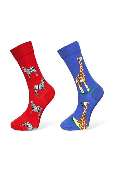 Mevo Set of 2 Unisex Red Blue Animal Patterned Flexible Cotton SocKs