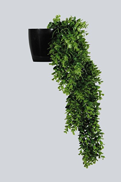 Lilac Home Yapay Çiçek Jumbo Saksılı Iki Renkli Okaliptus Şimşir Sarkıtı