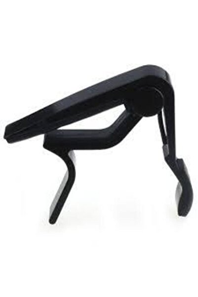 Alice Kapo Gitar Kaposu