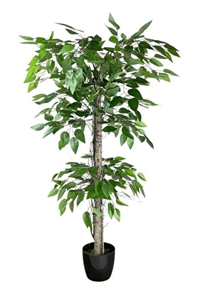 RUZGARCİCEK Rüzgar Yapay Çiçekçilik 110 cm Benjamin Ağacı