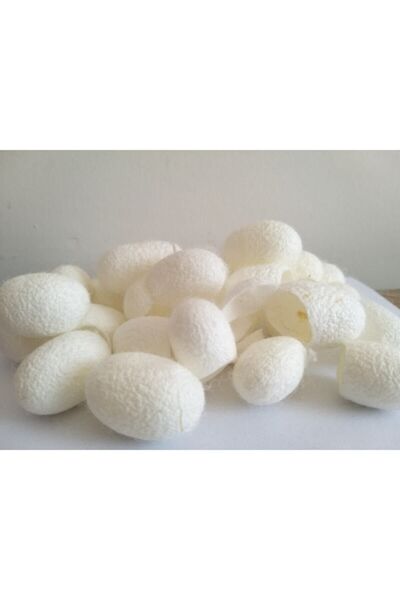 ŞİFAGIDA Ipek Böceği Kozası 20adet Yüz Peelingi Ipekkozası Ipek Kozası