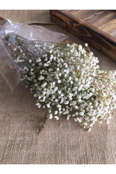 Yumak Dekor Grup Doğal Kuru Çiçek Kurutulmuş Cipso Otu