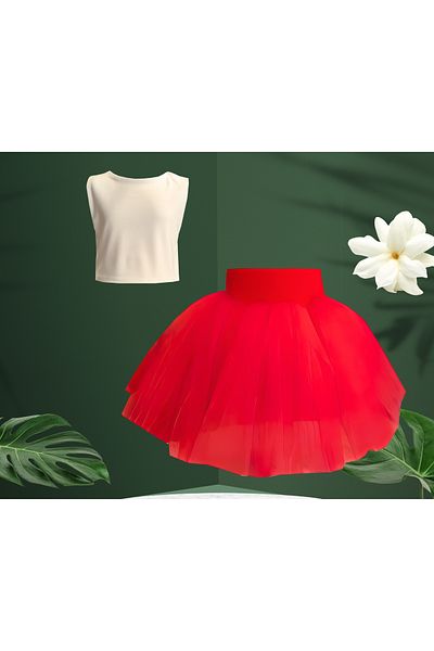 Shecco Babba Girl's Tutu Skirt - Crop Blouse Set, Birthday Dress