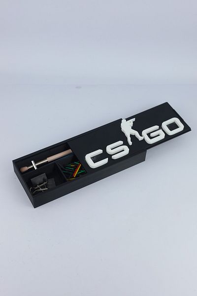 domini Counter-Strike CS:GO 20cm x 8cm x 2.5cm - Multi-purpose Organizer Organizer