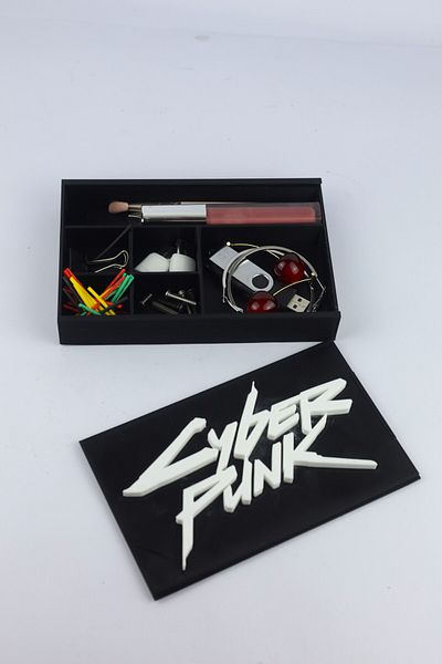 domini Cyberpunk 2077 Organizer - Multi-purpose Organizer - 17cm x 11cm x 2.5cm