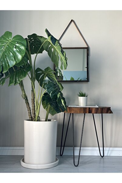 odka 40litre Silindir Saksı Tabaklı Yükseklik:40cm Çap:33cm Ekru Renk