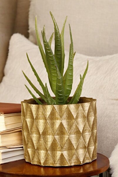 Stein Kohle Dekoratif Saksı Minik Kaktüs Saksısı Altın Renk 1 Adet Model 16