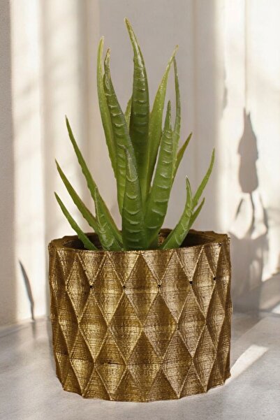 Stein Kohle Dekoratif Saksı Minik Kaktüs Saksısı Altın Eskitme Renk 1 Adet Mo...