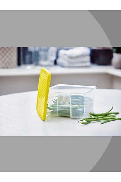 Tupperware Mini Square Tini Lady - Vegetable and Fruit Refrigerator Storage Container