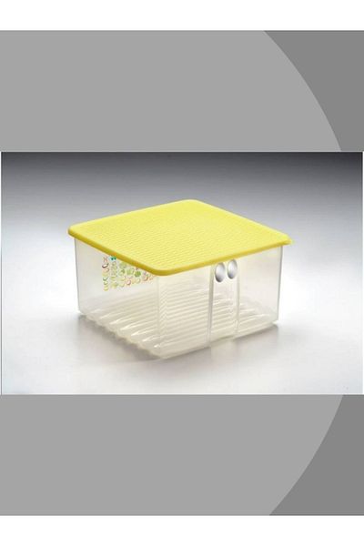 Tupperware Mini Square Tini Lady - Vegetable and Fruit Refrigerator Storage Container