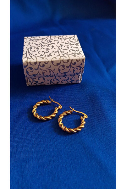 Kashpanya أقراط نسائية من الفولاذ - تصميم ملتوي