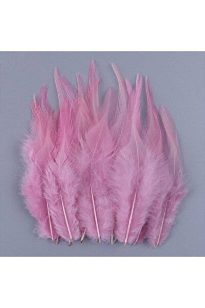Aker Hediyelik 100lü Pembe Kuş Tüyü 1 5x2 Süslemelik Pembe Kuş Tüyleri – Deko...
