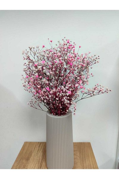 shocket plant Εκπληκτικά Χρώματα Cipso 1ης Κατηγορίας 40-50 gr – Διακόσμηση τεχνητών λουλουδιών, Στολίδι τραπεζιού, Φόντο